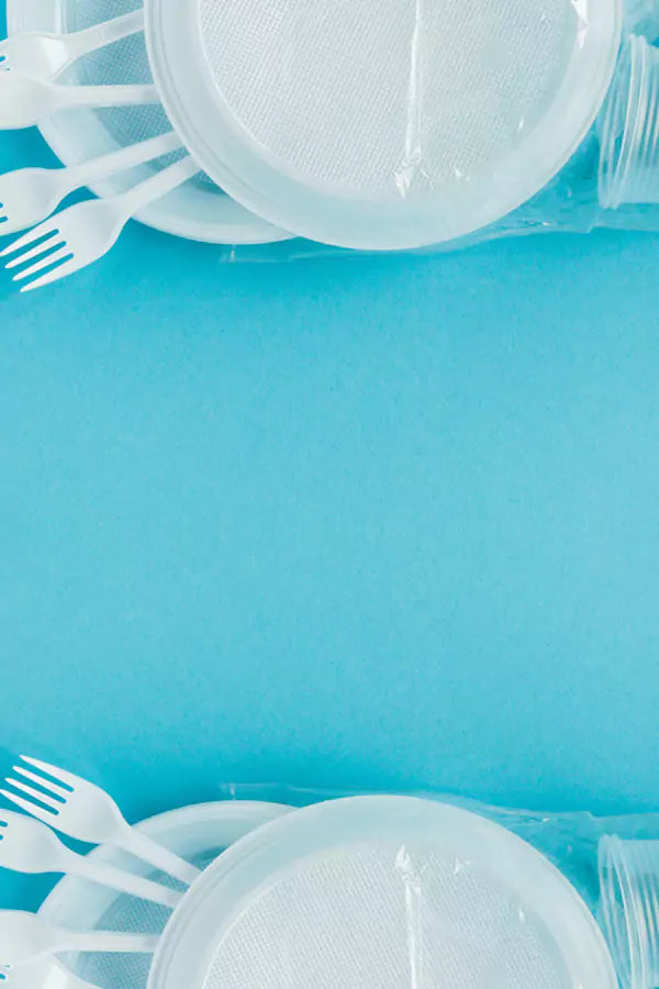 disposable dishware
